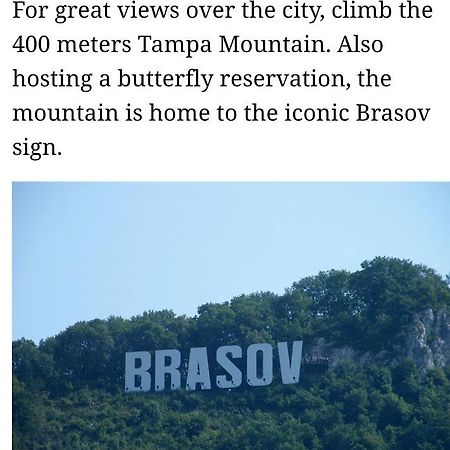 Maya'S Apartament Brasov Apartman Kültér fotó